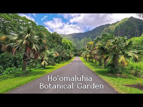Driving Through Ho'omaluhia Botanical Garden | Oahu, Hawaii in 4K